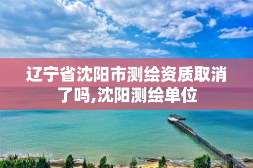 遼寧省沈陽市測繪資質取消了嗎,沈陽測繪單位