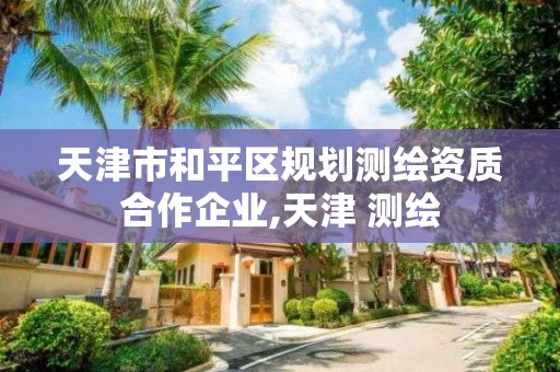 天津市和平區規劃測繪資質合作企業,天津 測繪