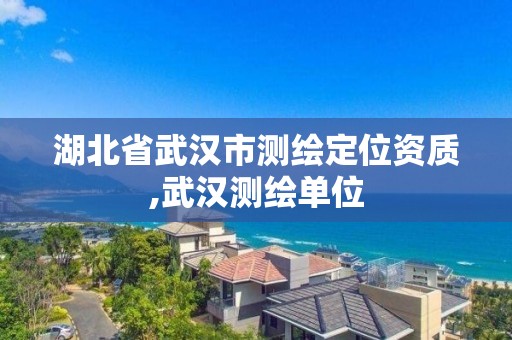 湖北省武漢市測繪定位資質(zhì),武漢測繪單位