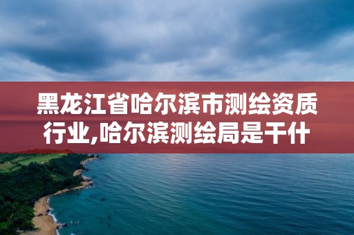 黑龍江省哈爾濱市測繪資質行業,哈爾濱測繪局是干什么的