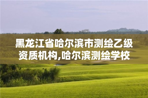 黑龍江省哈爾濱市測繪乙級資質機構,哈爾濱測繪學校