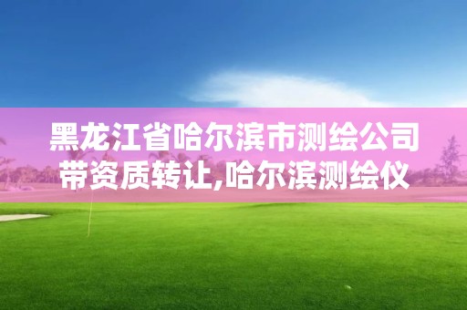 黑龍江省哈爾濱市測(cè)繪公司帶資質(zhì)轉(zhuǎn)讓,哈爾濱測(cè)繪儀器