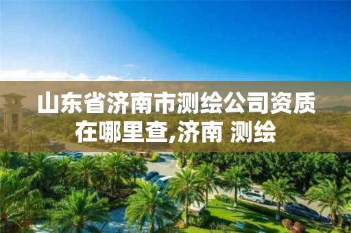 山東省濟南市測繪公司資質在哪里查,濟南 測繪