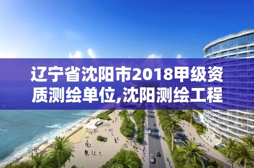 遼寧省沈陽市2018甲級資質測繪單位,沈陽測繪工程