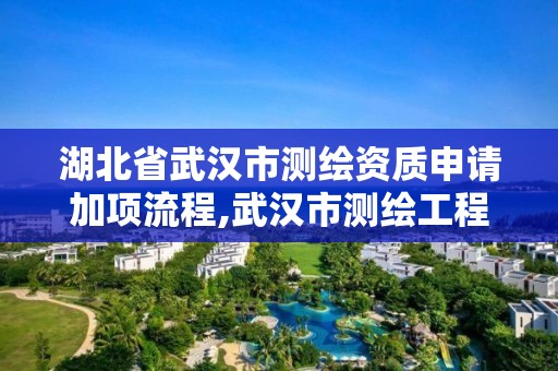 湖北省武漢市測繪資質申請加項流程,武漢市測繪工程技術規定