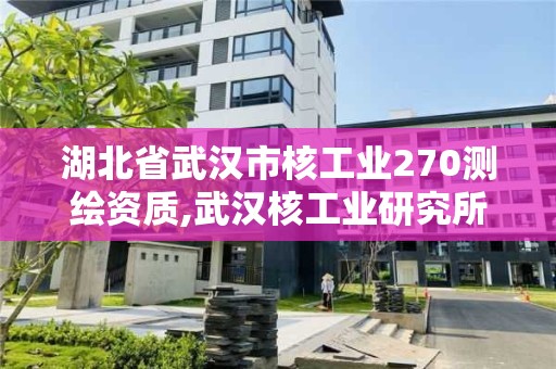 湖北省武漢市核工業(yè)270測繪資質(zhì),武漢核工業(yè)研究所