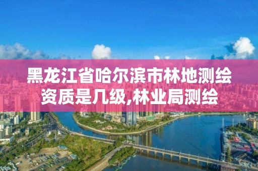 黑龍江省哈爾濱市林地測繪資質是幾級,林業局測繪