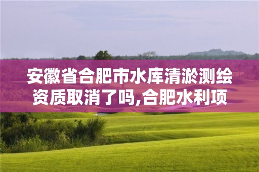 安徽省合肥市水庫清淤測繪資質取消了嗎,合肥水利項目。