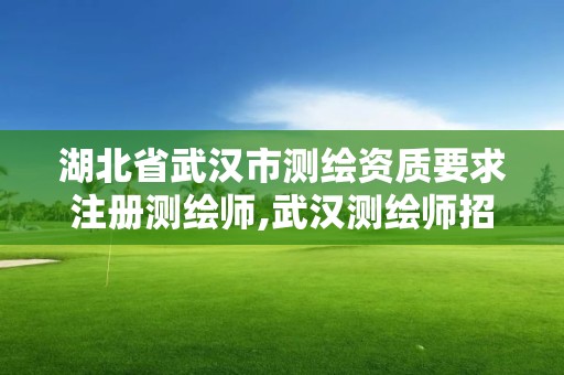 湖北省武漢市測(cè)繪資質(zhì)要求注冊(cè)測(cè)繪師,武漢測(cè)繪師招聘