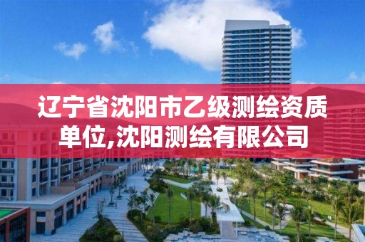 遼寧省沈陽市乙級測繪資質單位,沈陽測繪有限公司