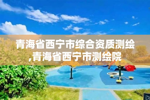 青海省西寧市綜合資質測繪,青海省西寧市測繪院