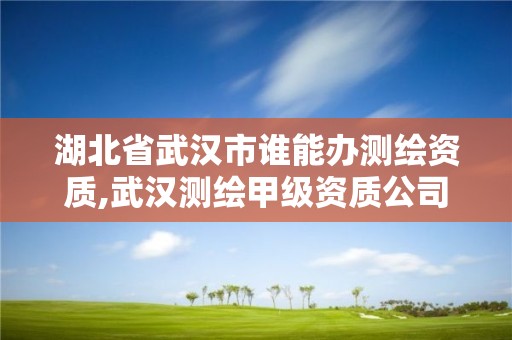 湖北省武漢市誰能辦測繪資質,武漢測繪甲級資質公司