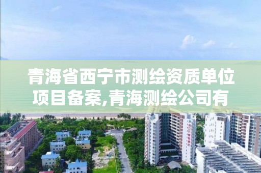 青海省西寧市測繪資質單位項目備案,青海測繪公司有哪些