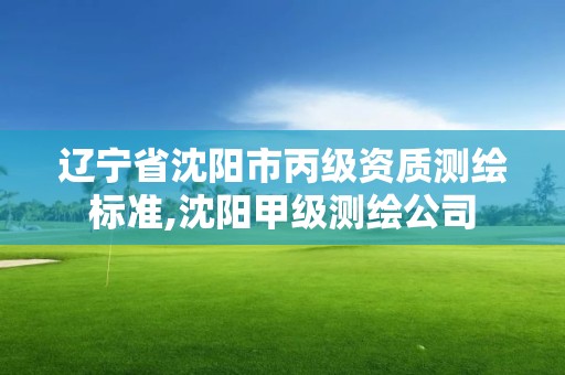 遼寧省沈陽市丙級資質測繪標準,沈陽甲級測繪公司