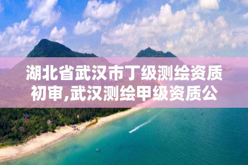 湖北省武漢市丁級測繪資質初審,武漢測繪甲級資質公司