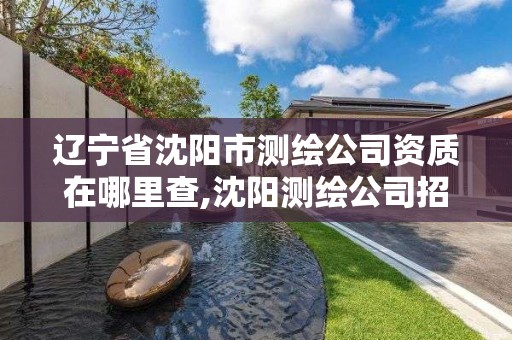 遼寧省沈陽市測繪公司資質在哪里查,沈陽測繪公司招聘信息最新招聘