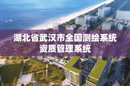 湖北省武漢市全國測繪系統資質管理系統