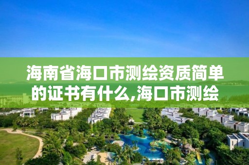 海南省?？谑袦y繪資質簡單的證書有什么,?？谑袦y繪公司。