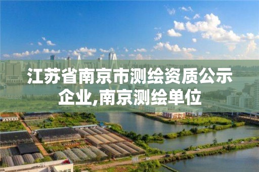 江蘇省南京市測繪資質公示企業,南京測繪單位