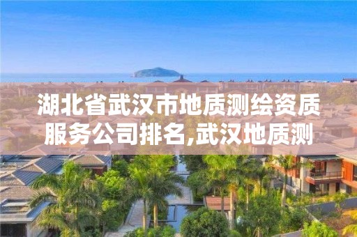 湖北省武漢市地質(zhì)測(cè)繪資質(zhì)服務(wù)公司排名,武漢地質(zhì)測(cè)繪學(xué)院。