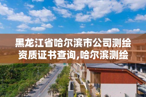 黑龍江省哈爾濱市公司測繪資質(zhì)證書查詢,哈爾濱測繪局是干什么的。