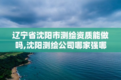 遼寧省沈陽市測繪資質能做嗎,沈陽測繪公司哪家強哪家好