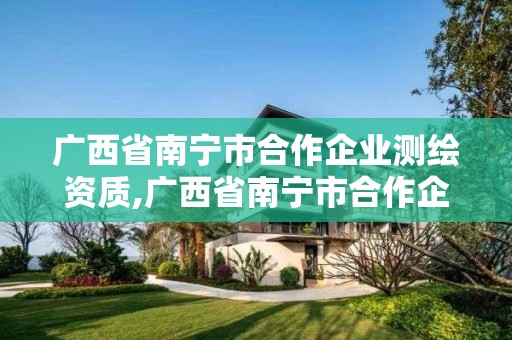 廣西省南寧市合作企業測繪資質,廣西省南寧市合作企業測繪資質辦理