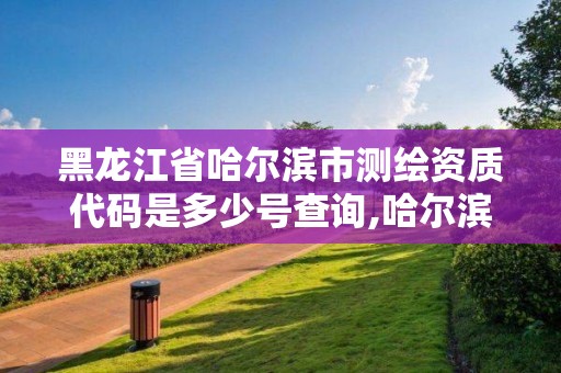 黑龍江省哈爾濱市測繪資質代碼是多少號查詢,哈爾濱測繪公司電話。