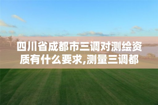 四川省成都市三調對測繪資質有什么要求,測量三調都有哪些工作。