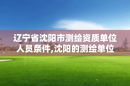 遼寧省沈陽市測繪資質單位人員條件,沈陽的測繪單位有哪些