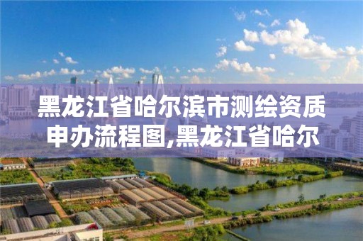 黑龍江省哈爾濱市測繪資質申辦流程圖,黑龍江省哈爾濱市測繪局