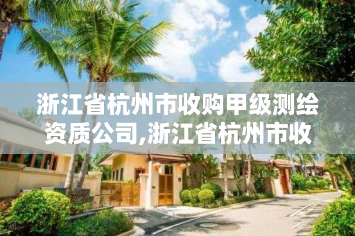 浙江省杭州市收購(gòu)甲級(jí)測(cè)繪資質(zhì)公司,浙江省杭州市收購(gòu)甲級(jí)測(cè)繪資質(zhì)公司的公司