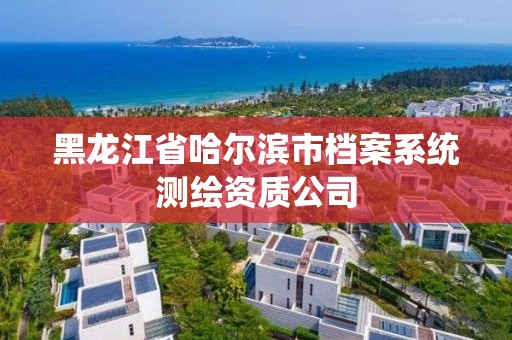 黑龍江省哈爾濱市檔案系統測繪資質公司