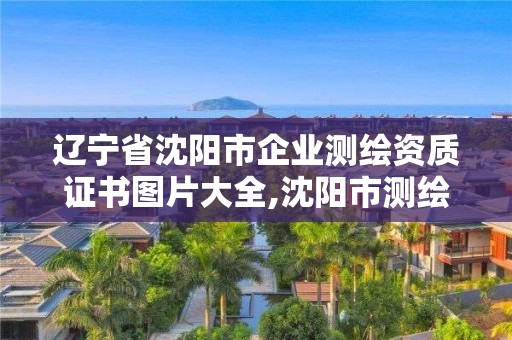 遼寧省沈陽市企業測繪資質證書圖片大全,沈陽市測繪院是什么單位。