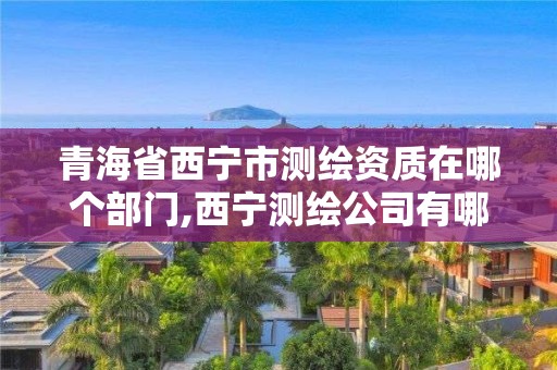 青海省西寧市測繪資質(zhì)在哪個部門,西寧測繪公司有哪些