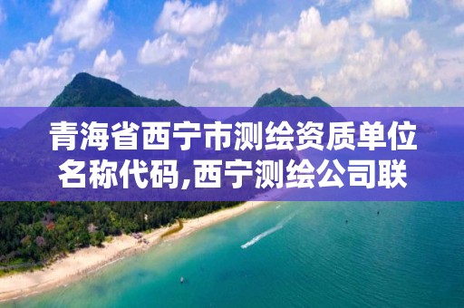 青海省西寧市測繪資質單位名稱代碼,西寧測繪公司聯系方式。