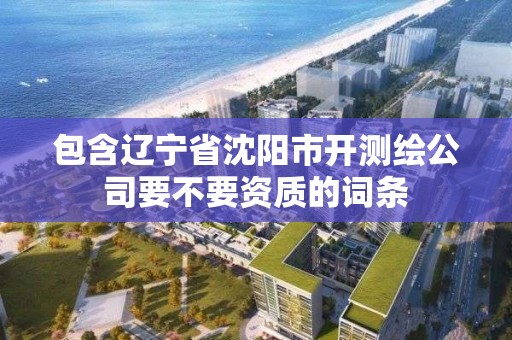 包含遼寧省沈陽市開測繪公司要不要資質的詞條