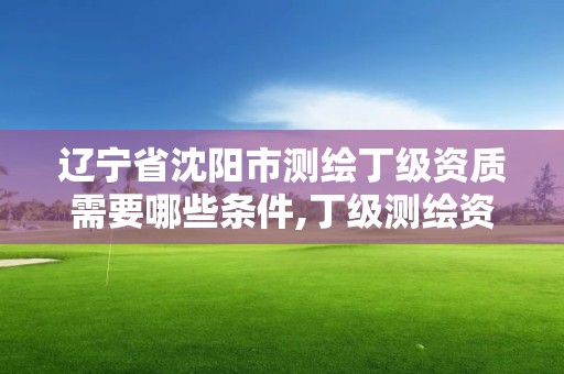 遼寧省沈陽市測繪丁級資質需要哪些條件,丁級測繪資質申請人員條件。