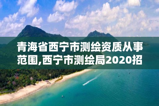 青海省西寧市測繪資質從事范圍,西寧市測繪局2020招聘