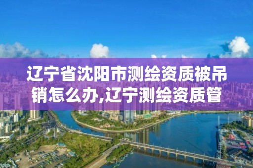 遼寧省沈陽市測繪資質被吊銷怎么辦,遼寧測繪資質管理系統登錄