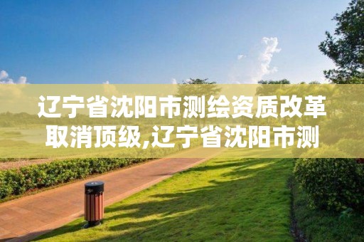 遼寧省沈陽市測繪資質改革取消頂級,遼寧省沈陽市測繪資質改革取消頂級資質了嗎