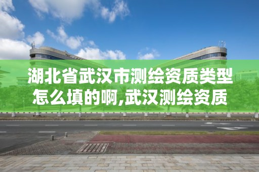 湖北省武漢市測(cè)繪資質(zhì)類型怎么填的啊,武漢測(cè)繪資質(zhì)代辦。