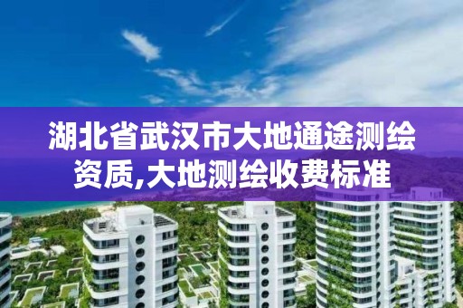 湖北省武漢市大地通途測繪資質,大地測繪收費標準