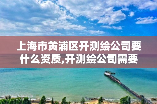 上海市黃浦區(qū)開測繪公司要什么資質(zhì),開測繪公司需要的條件