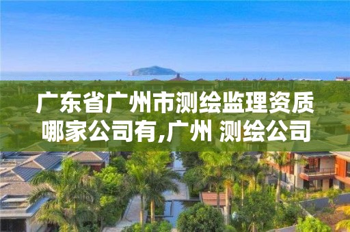 廣東省廣州市測(cè)繪監(jiān)理資質(zhì)哪家公司有,廣州 測(cè)繪公司。