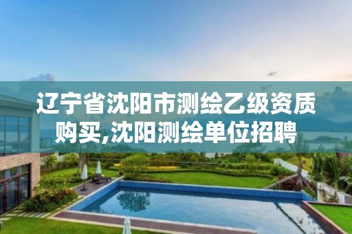 遼寧省沈陽市測繪乙級資質(zhì)購買,沈陽測繪單位招聘