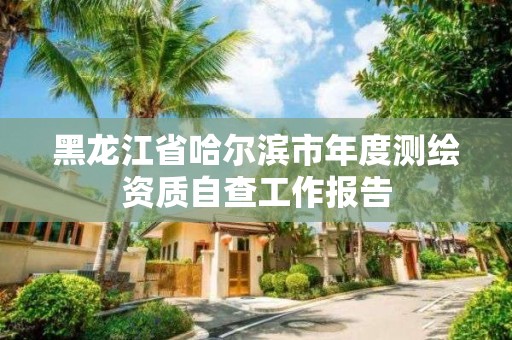 黑龍江省哈爾濱市年度測繪資質自查工作報告