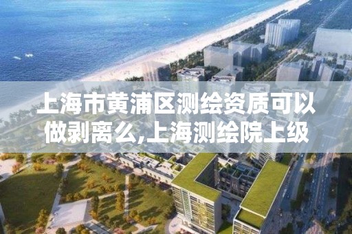 上海市黃浦區測繪資質可以做剝離么,上海測繪院上級單位。