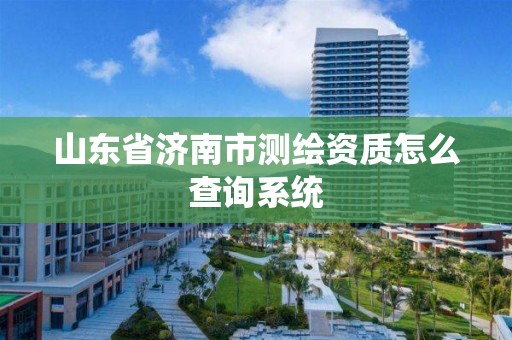 山東省濟南市測繪資質怎么查詢系統