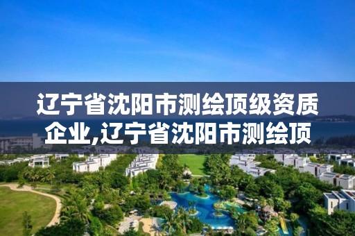 遼寧省沈陽市測繪頂級資質企業,遼寧省沈陽市測繪頂級資質企業公示